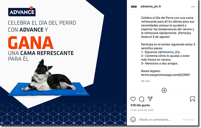 ideas para el día el perro: ejemplo de sorteo de comentarios en Instagram