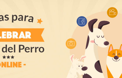 ideas para el día del perro