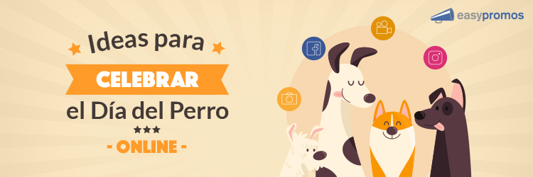 ideas para el día del perro