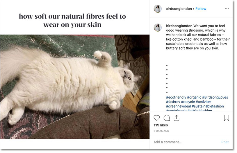 ejemplo de meme de una marca de  ropa