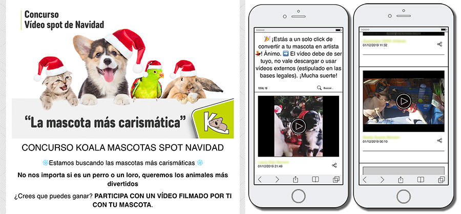 concurso de mascotas online de Koala Mascotas