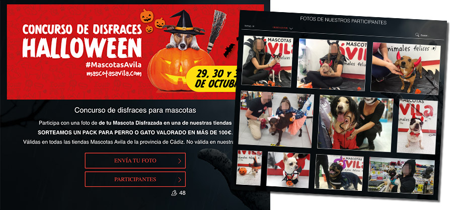 concurso de mascotas online de Mascotas Avila