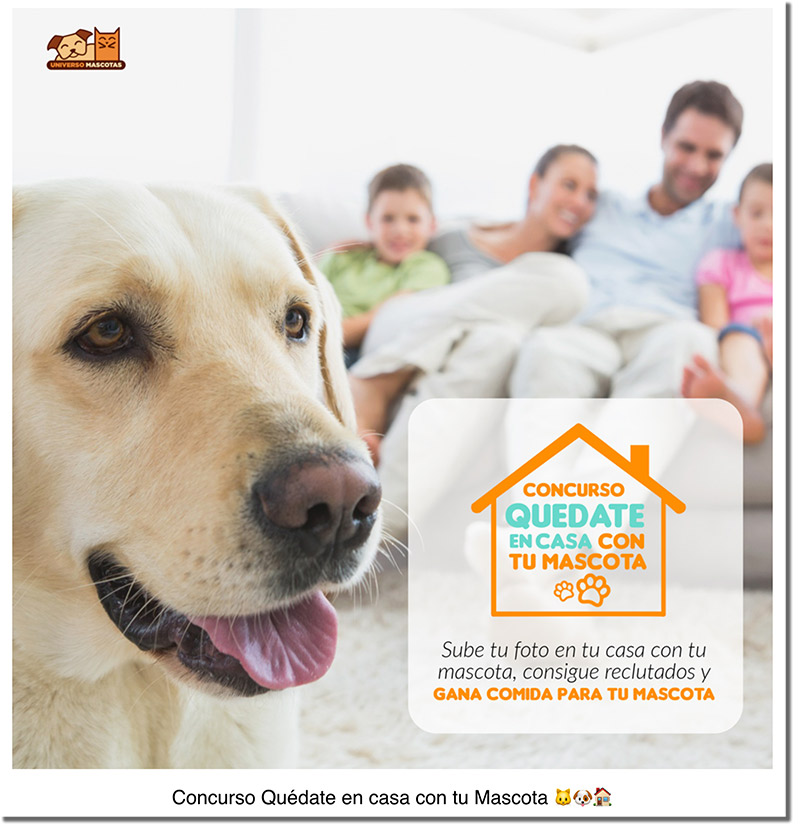 concurso de mascotas online de Universo Mascotas 2