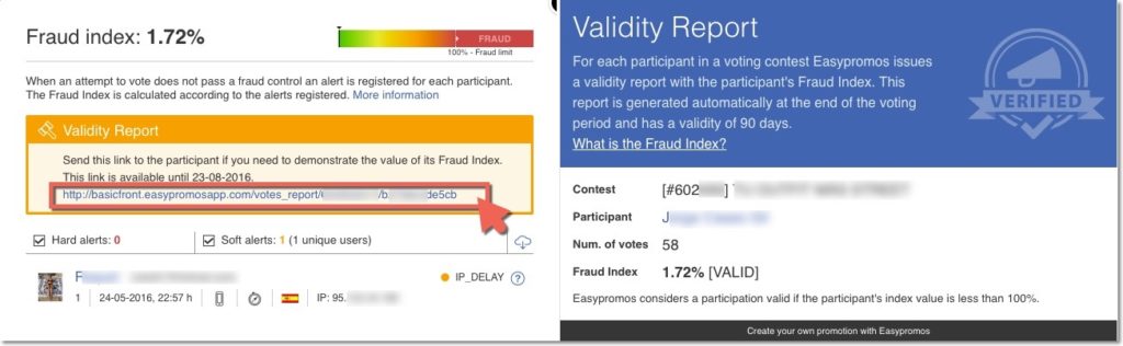 validity report