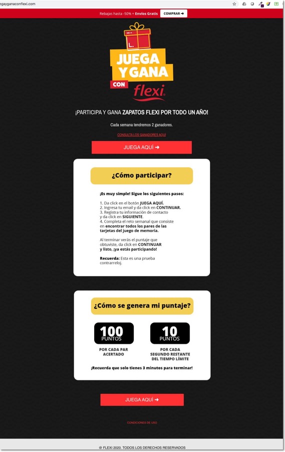 Flexi's lead generation campaign