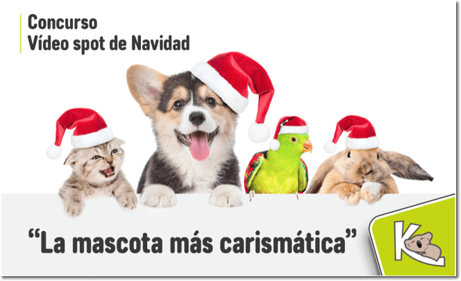 pet contest ideas video contest